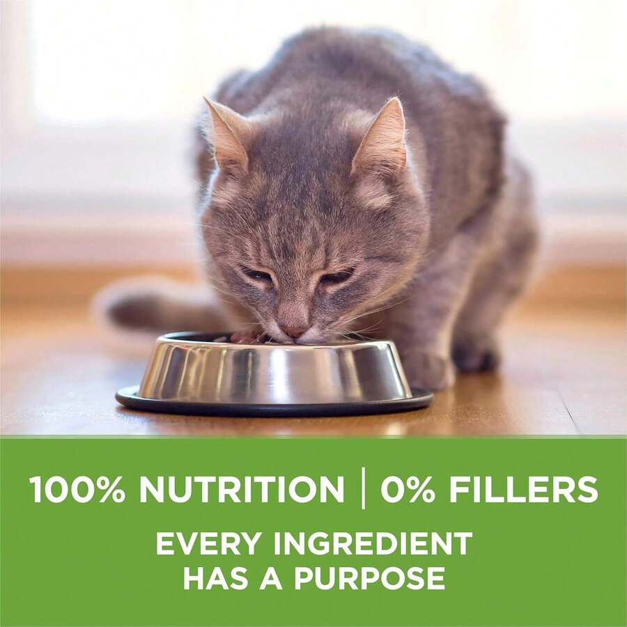 Purina ONE Indoor Advantage natural low fat weight control dry cat food 3.5 lb bag