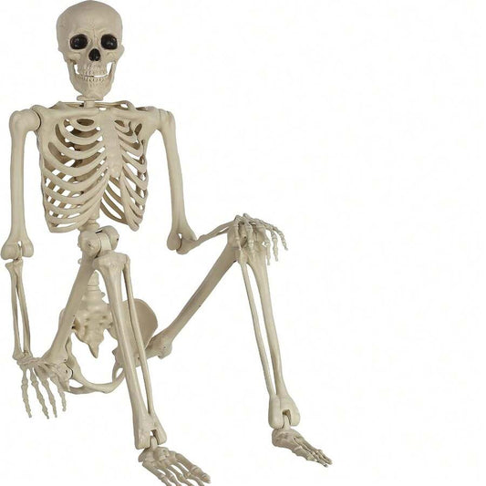 5.4-Foot Flexible Life-Sized Adult Skeleton Made Of Plastic,Featuring Movable Joints, Decorative Sig