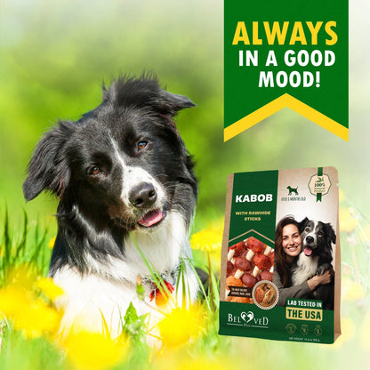 Beloved Pets Kabobs Dog Rawhide Treats With Duck & Chicken Human Grade Meat - Natural Dried Snacks - Grain Free Long Lasting Chews For Large & Small Dogs - Best Sticks For Training & Healthy Teeth - Lab Tested In The USA