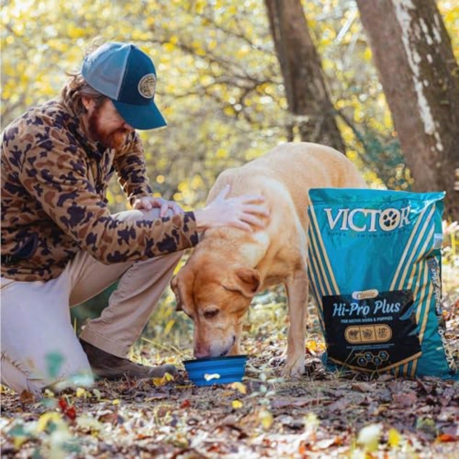 Super Premium Dog Food Hi-Pro Plus Dry Kibble High Protein Dog Food With 30% Protein Beef, Chicken, Pork, Fish Meals, Gluten Free - For High Energy And Active Dogs And Puppies, 5lbs